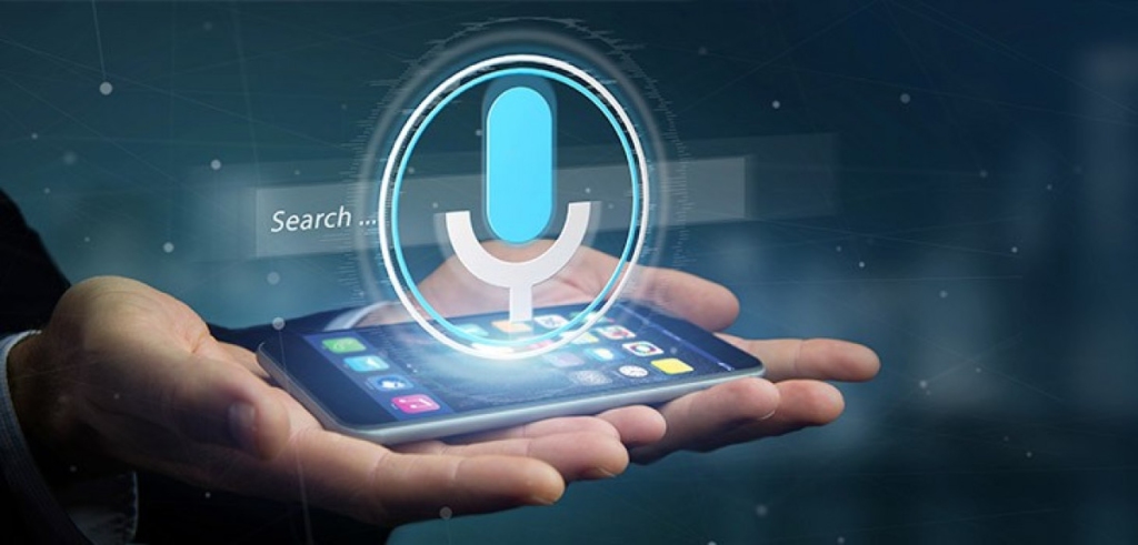 Ignoring Voice Search Optimization